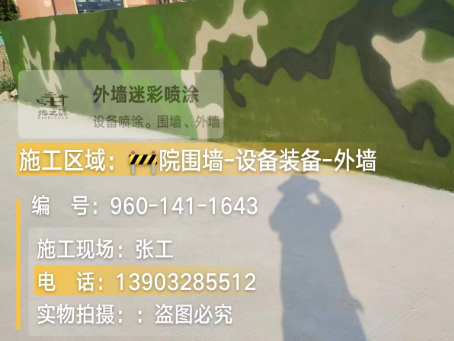 浦东 迷彩漆喷涂价格（按平方米计费）